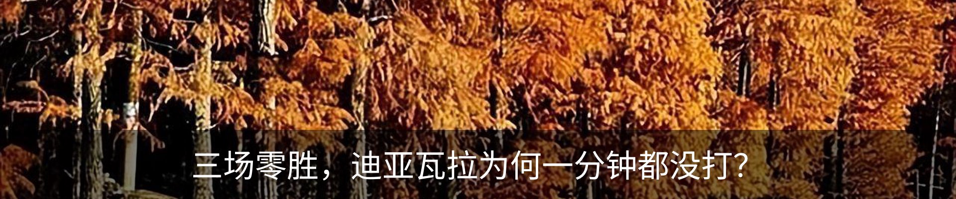 内页banner