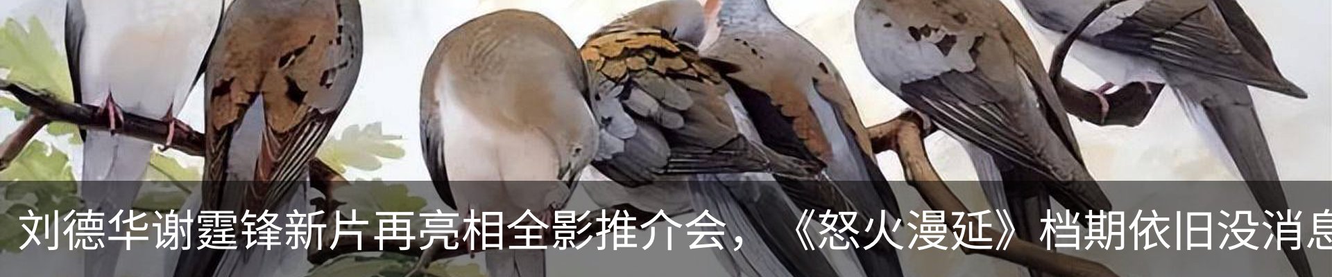 内页banner