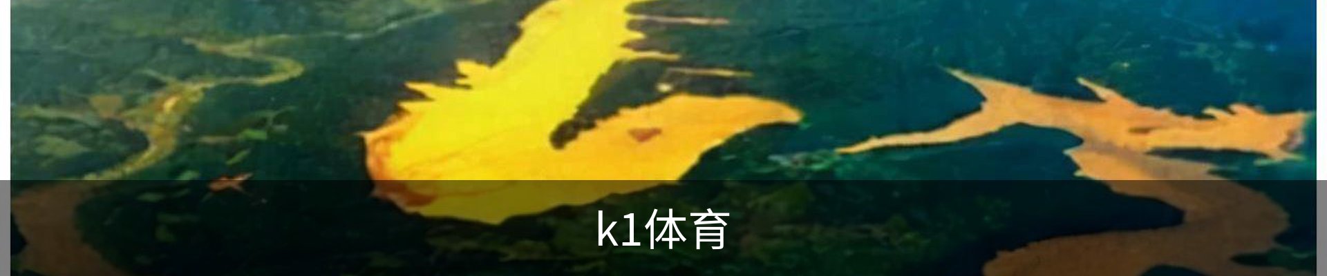 k1体育